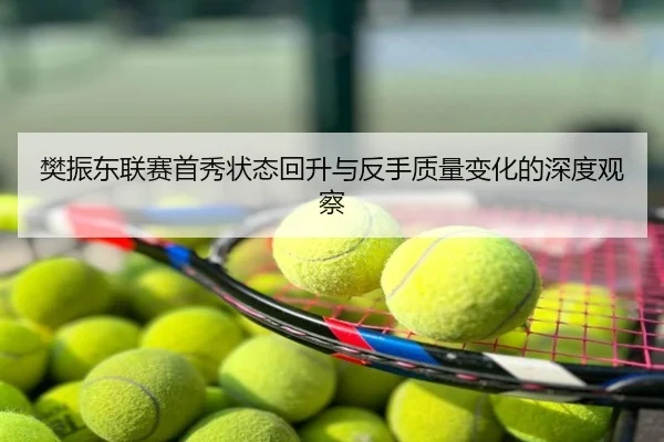 樊振东联赛首秀状态回升与反手质量变化的深度观察
